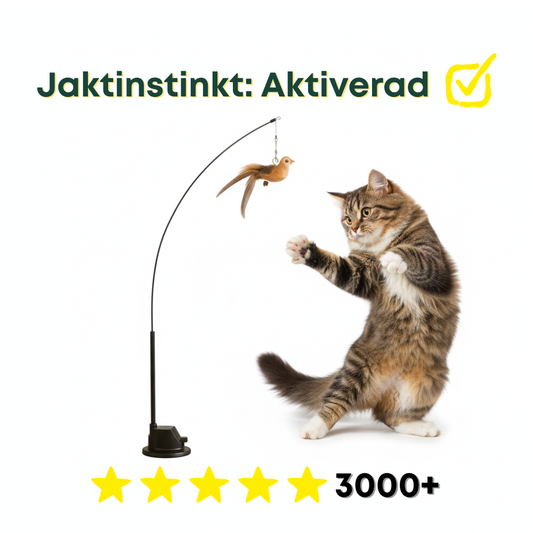 Jaktspöet